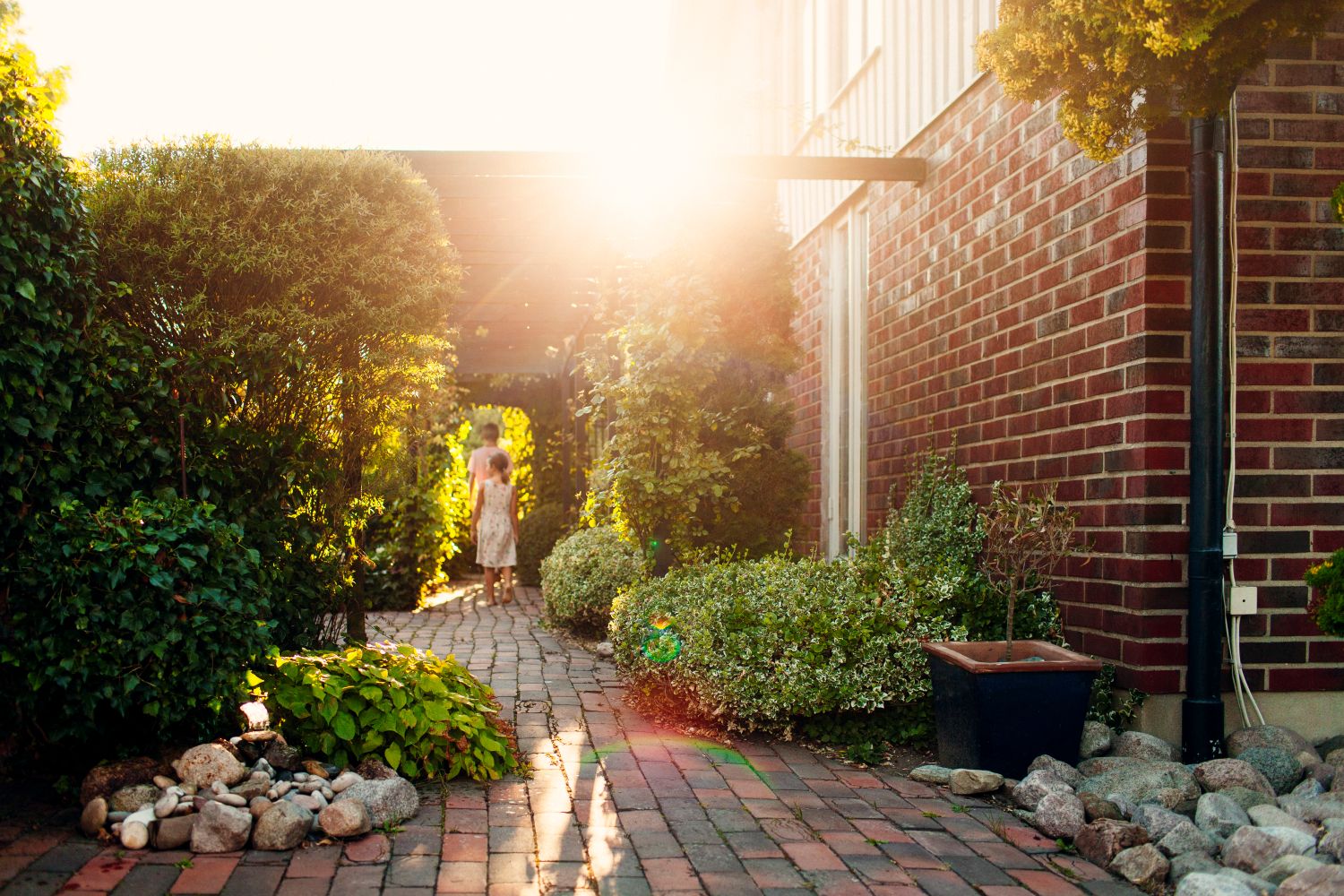 Home garden