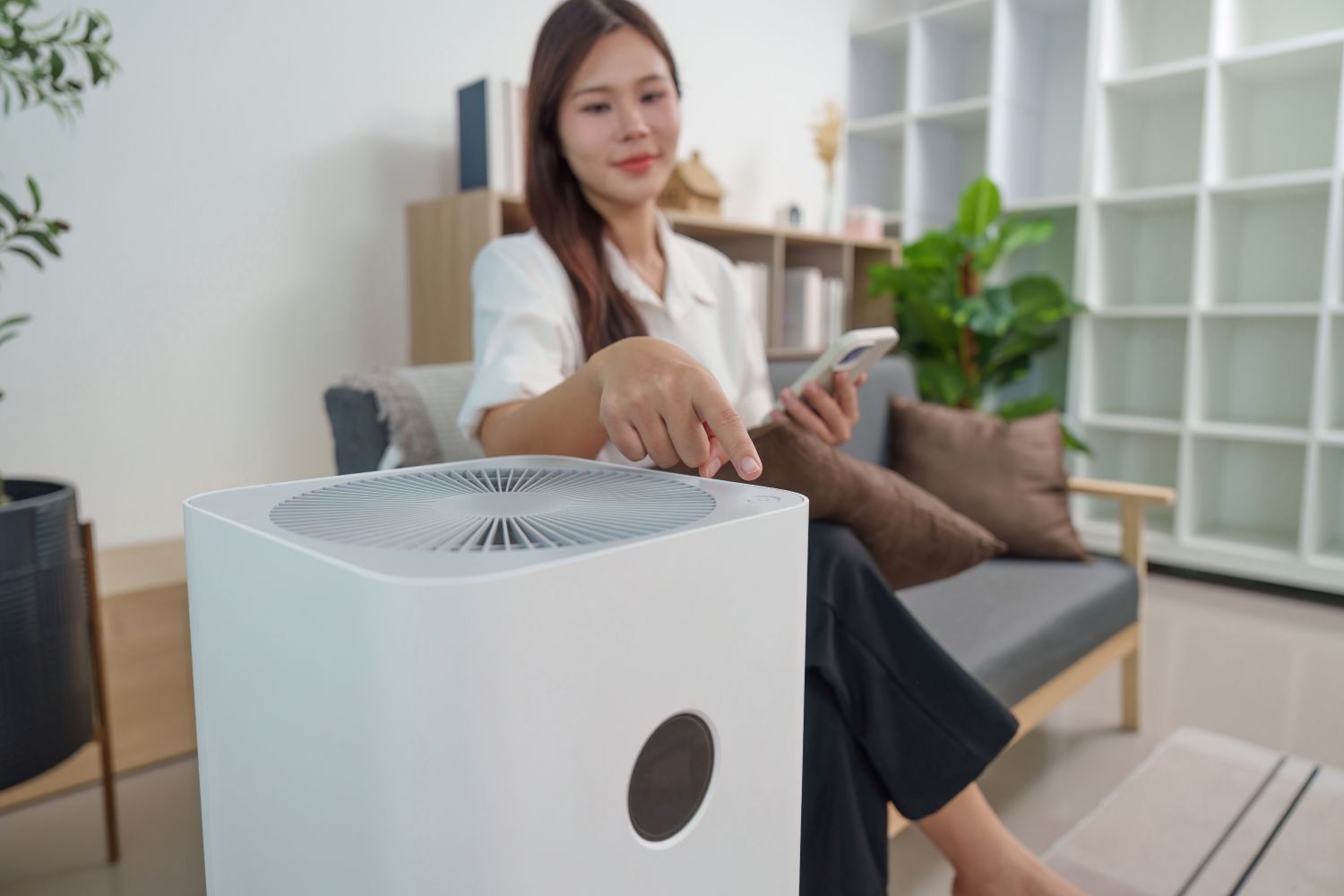 Install an air purifier.