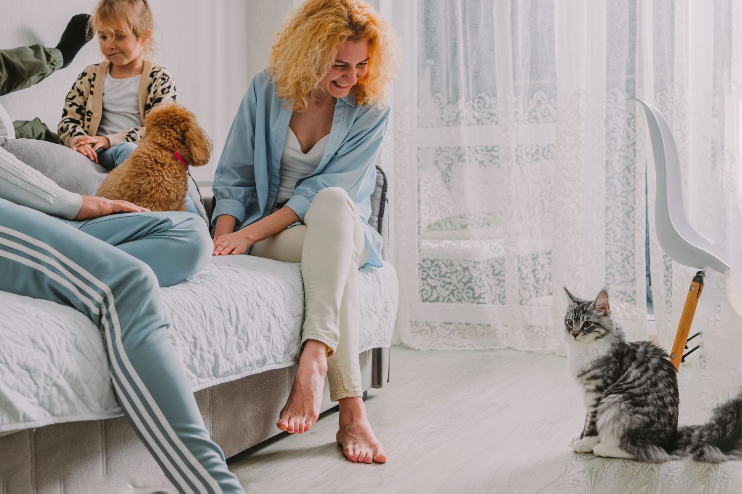 Maintain cleanliness in a home with pets.