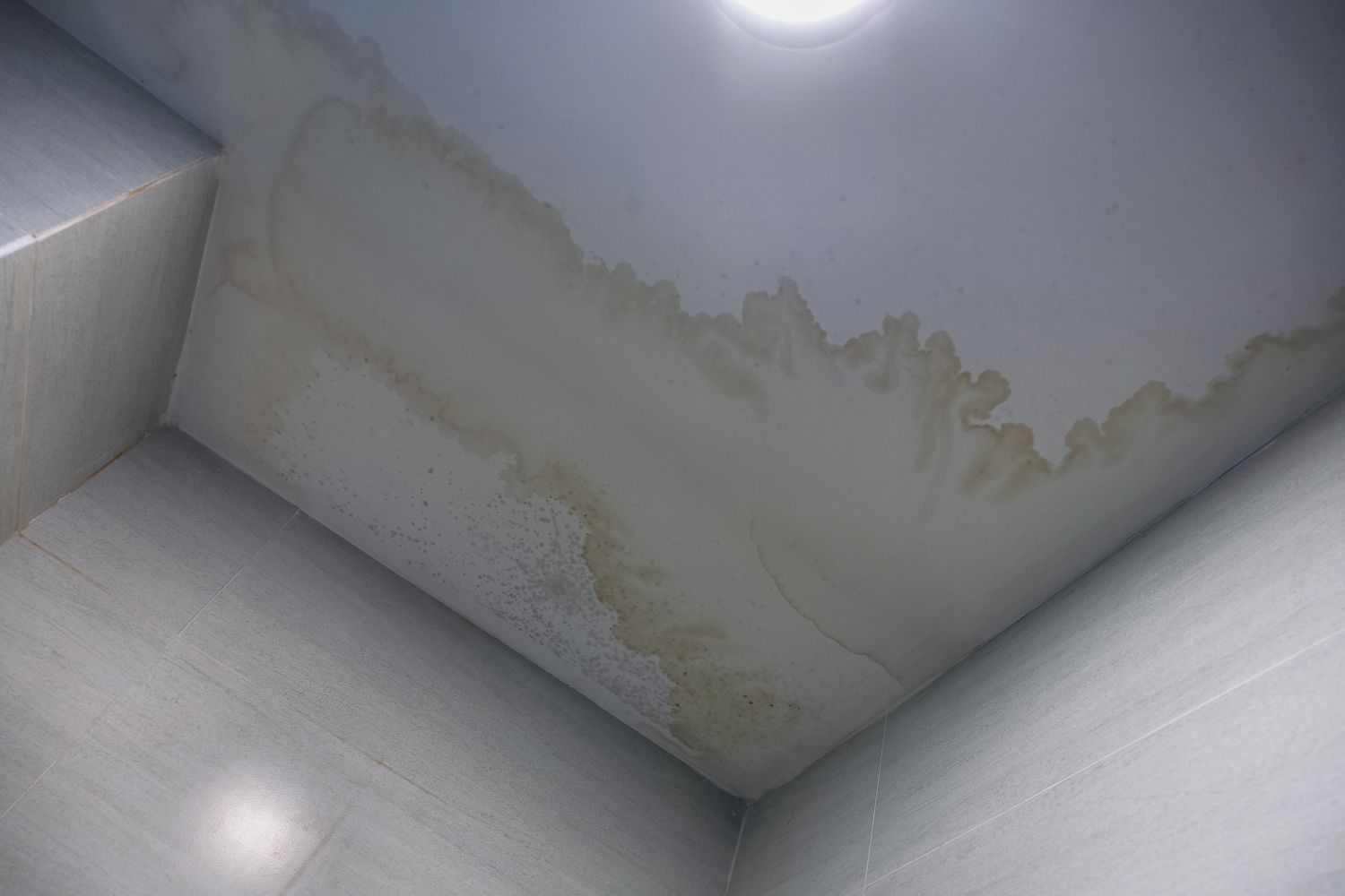 The point where the roof is leaking.