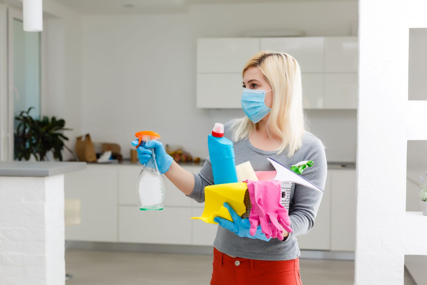 Which areas of the house harbor germs?