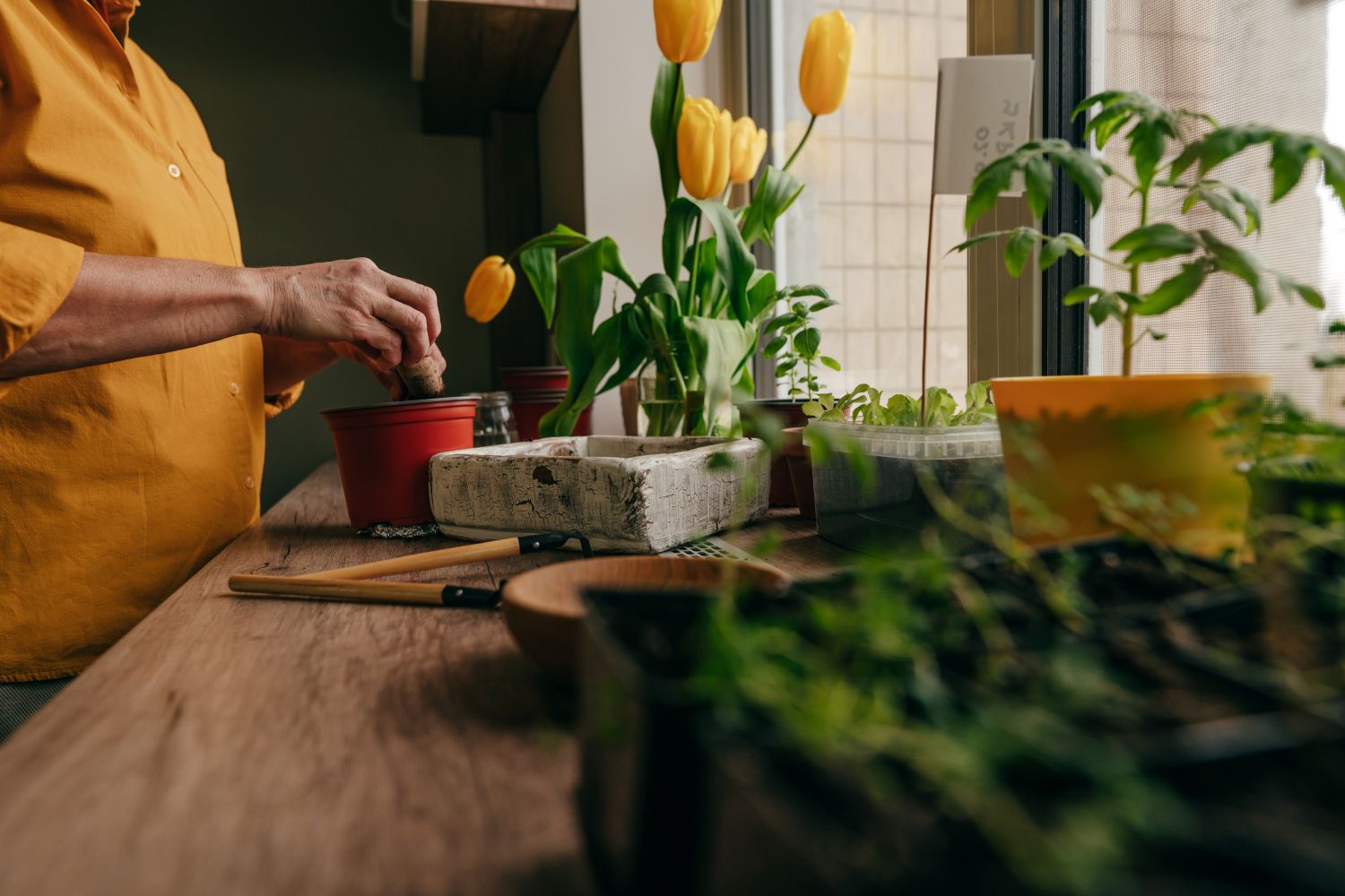 home gardening